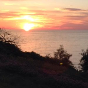 Meet your Posher, Avery